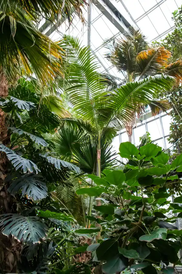 Exklusive botanische Erfahrung